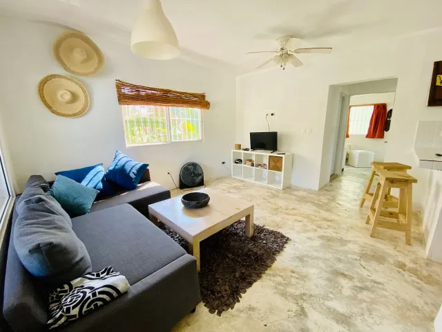 Living room with a grey sofa, fan and window