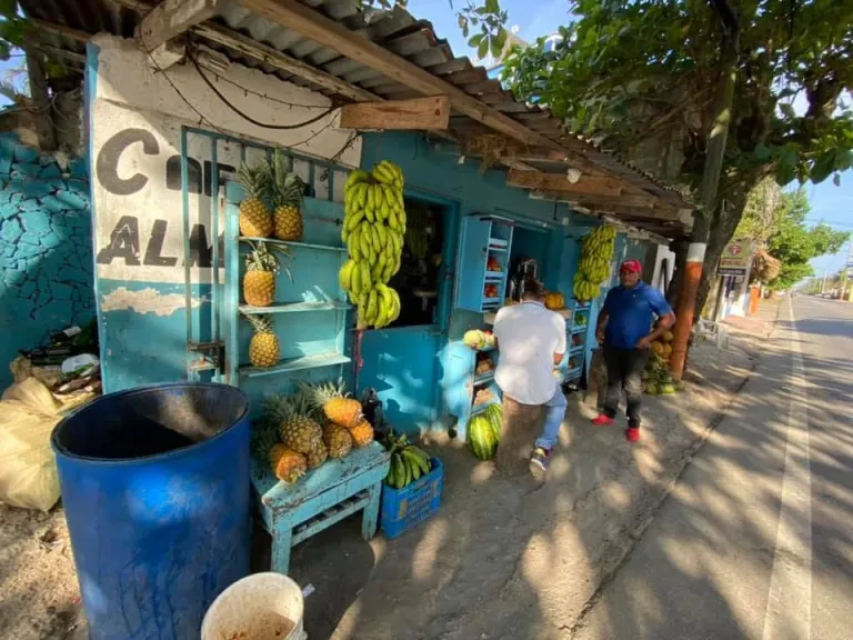 Street with fruit stalls and small shops near Mango House