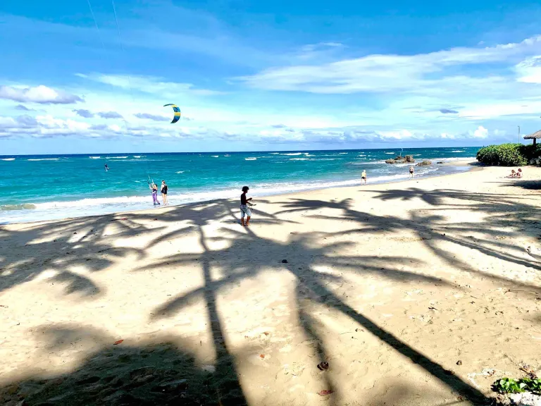 Kite Beach with palm shadows across the sand and a kite in the sky