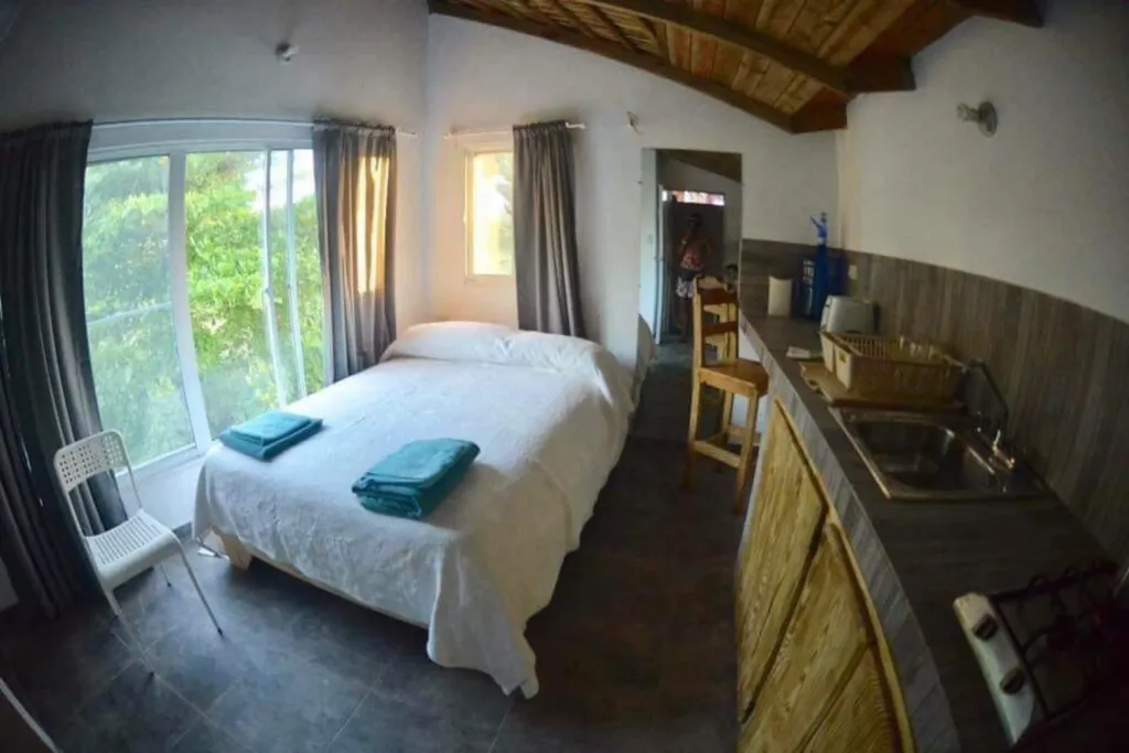 Bed and kitchen counter inside Brisa Loft, with a window to the trees