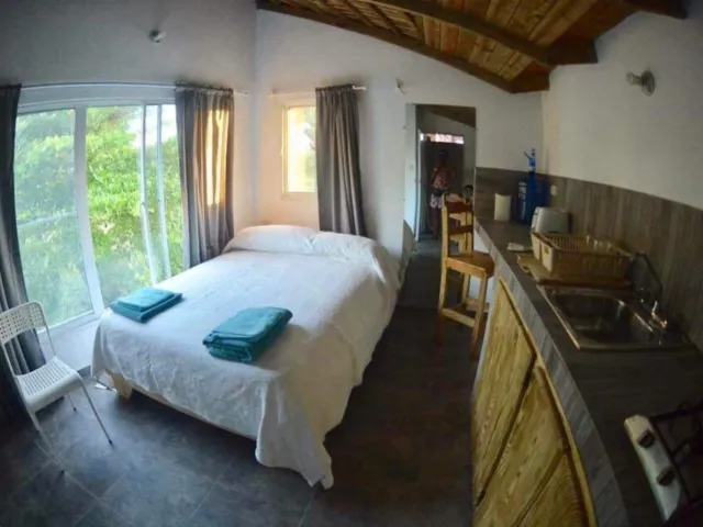 Bed and kitchen counter inside Brisa Loft, with a window to the trees