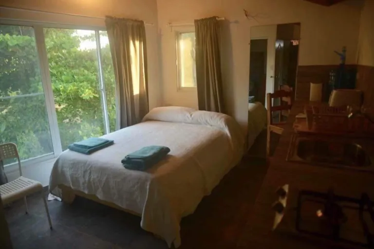Bed by the window with green trees outside