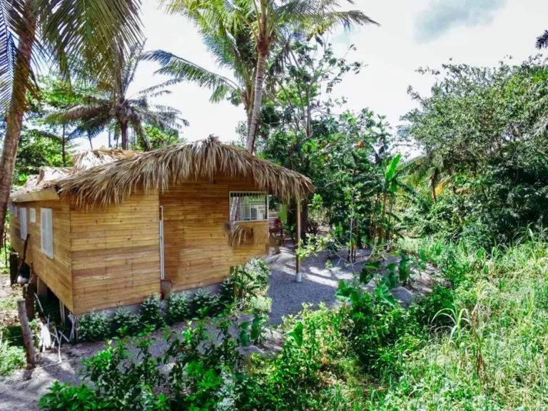 Wooden cabin with a palm roof among the trees