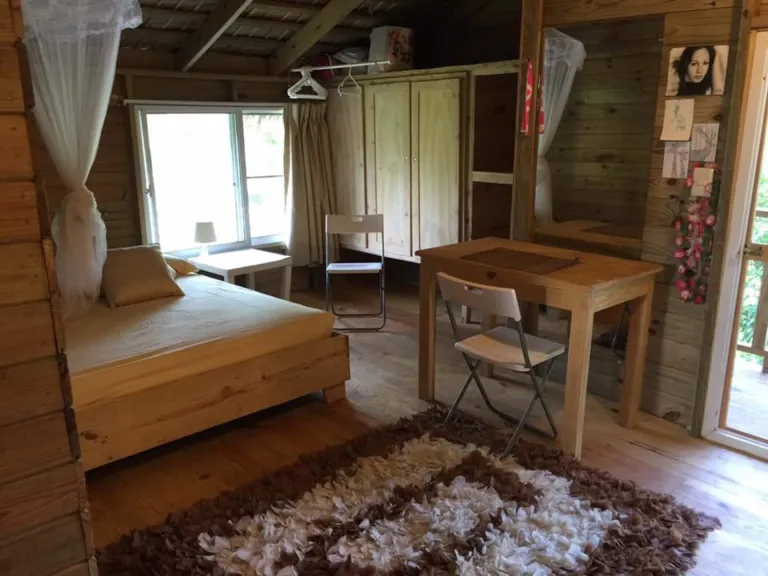 Ecostudio, photo 2