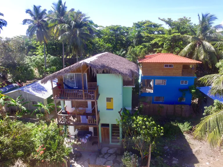 Two wooden houses among palms and banana trees seen from above