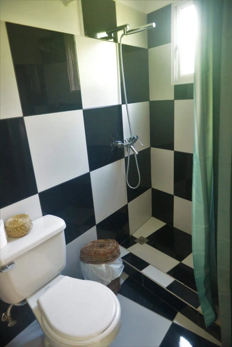 Green Loft, photo 5