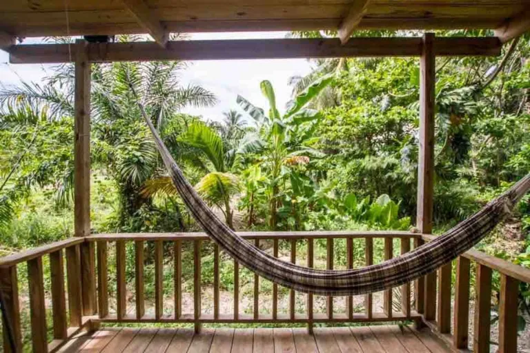 Wooden balcony with a hammock over the trees