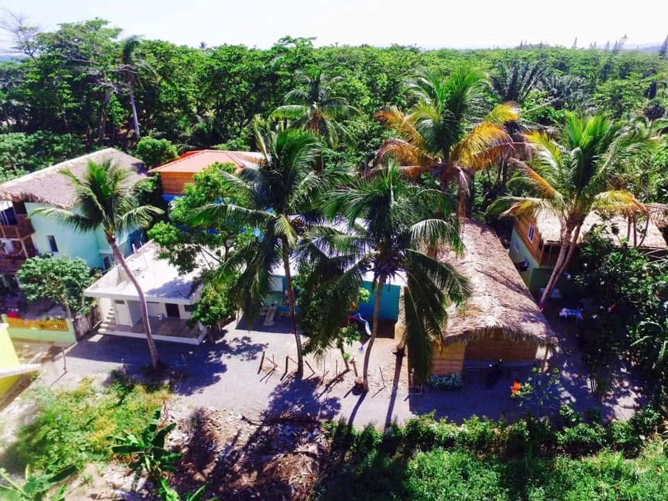 Aerial view of the Mango House apartments among the palms