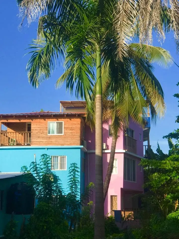 Blue and pink buildings behind a palm tree