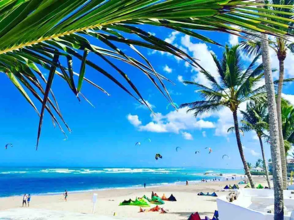 Kite Beach framed by palm leaves, with kites and colourful kit on the sand